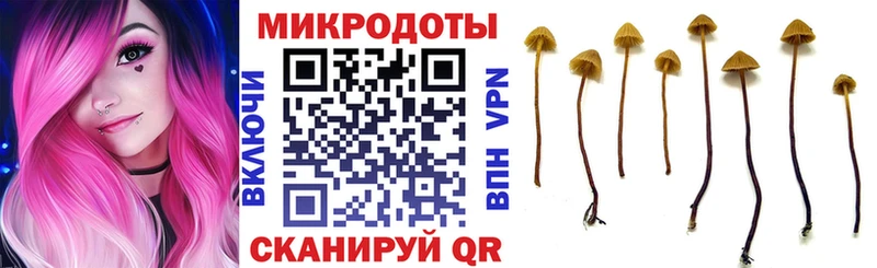 Псилоцибиновые грибы мухоморы  Новомичуринск 